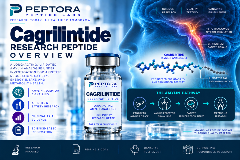 Cagrilintide Research Peptide Overview