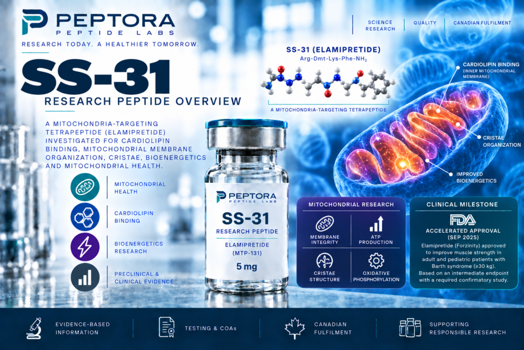 SS-31 Research Peptide Overview